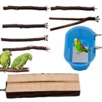 PURPLE STAR 1N Natural Wood Bird Perch Stand