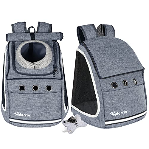 Small Dogs and Cats Backpack Carrier