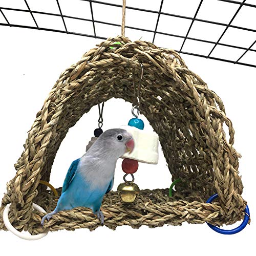 Tent Hammock Small Animal Snuggle Hut Parrot cage Toy