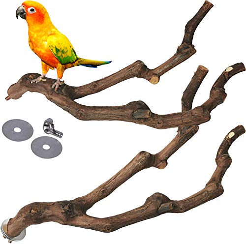 kathson Natural Parrot Perch Bird Stand