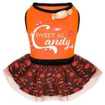 Dog Dresses Halloween XL