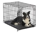 Metal Dog Crate Intermediate Dog Breed