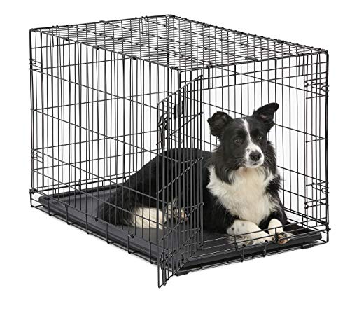 Metal Dog Crate Intermediate Dog Breed