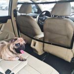 STARROAD-TIM Dog Car Barrier Vehicle