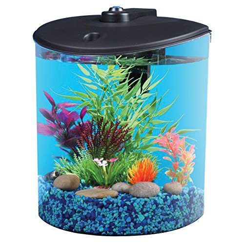 1.5-Gallon Fish Tank with LED Lighting and Power Filter