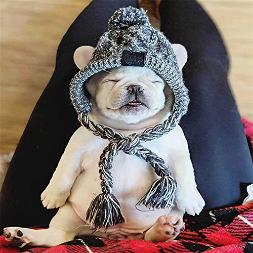 Winter Pet Dog Knitted Hat for Small Dogs