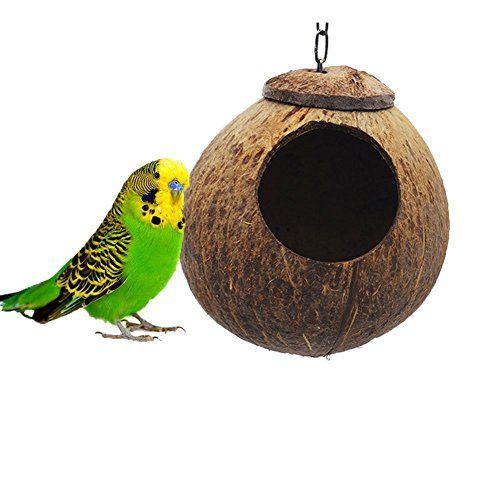 Natural Coconut Hideaway Parrot Birds Toys