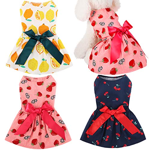 Dress Strawberry Dog Dress Puppy