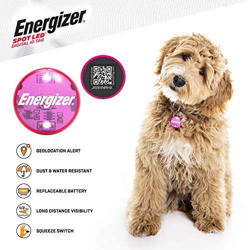 LED Energizer Digital Pet QR Recovery ID Tag
