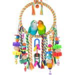 Bird Swing Toy Bird Perch with Colorful Chewing Toys