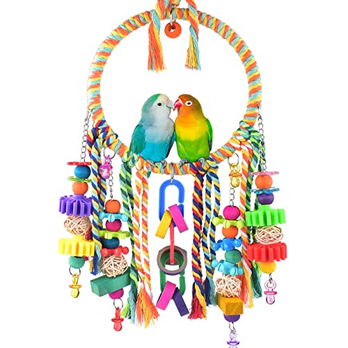 Bird Swing Toy Bird Perch with Colorful Chewing Toys