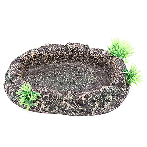 HRRIVE Reptile Corner Water Bowl Food Rocks Dish