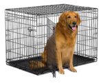 Double Door Folding Metal Large Dogs Crate