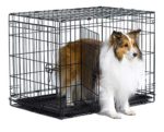 New World 30" Double Door Folding Metal Dog Crate