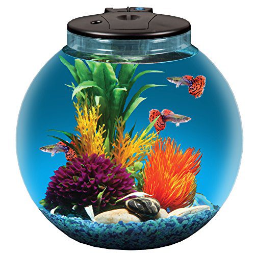 Koller Products AquaView 3-Gallon Fish Tank