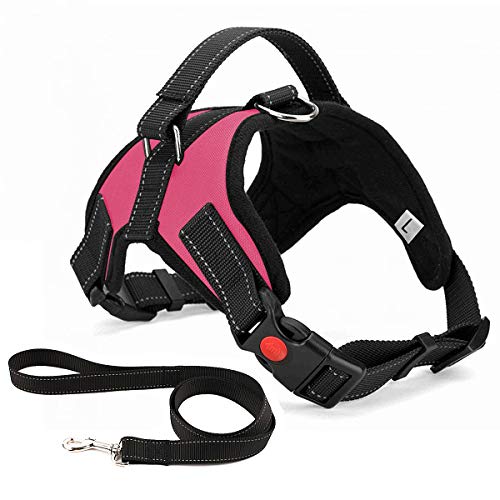Breathable Adjustable Comfort, Free Leash Included