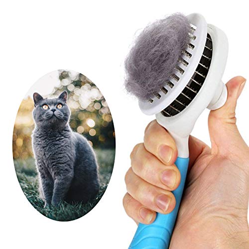 Self Cleaning Slicker Brushes for Dogs Cats