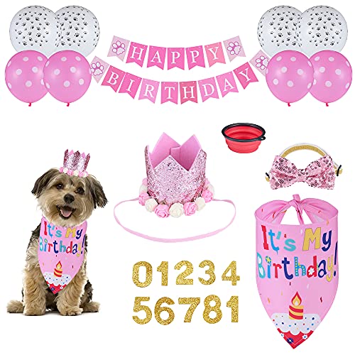 QIUHUA Dog Birthday Party Supplies Bandana Girl Set