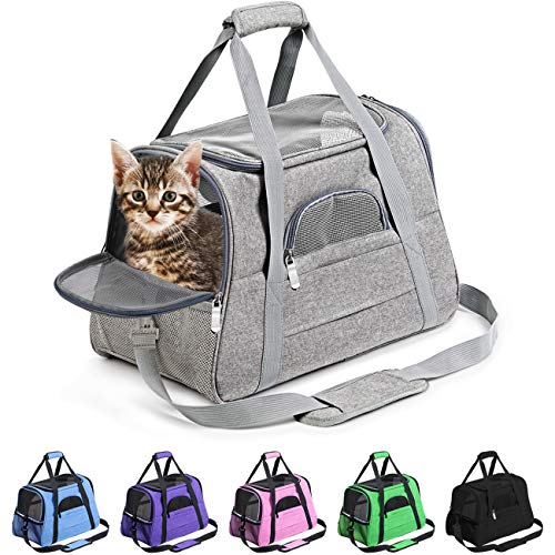 Prodigen Pet Carrier Airline Approved for Small Dogs
