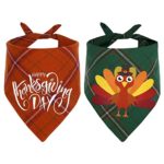 Dog Bandana for Dogs Turkey Pattern and Thanksgiving