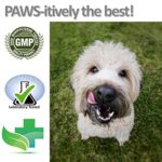 Vet Worthy Styptic Powder for Dogs - Image 5