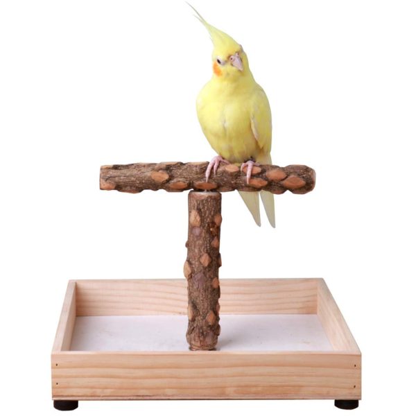 KINTOR Bird Stand Tabletop,Portable Tee Stand