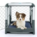 Small Dogs and Puppies Collapsible Dog Crate
