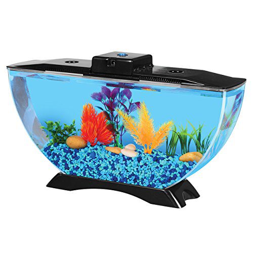 BettaTank 1-Gallon Deco Fish Tank