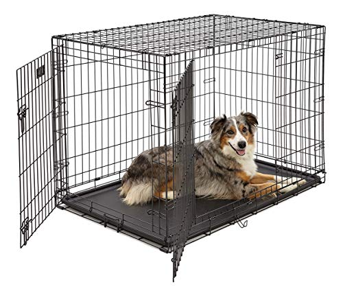 Double Door Folding Metal Dog Crate Large Dog