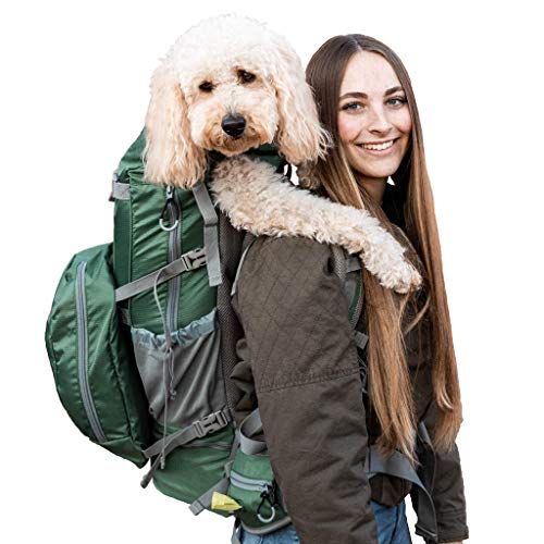 Rover 2 Dog Carrier Backpack for Small and Medium Pets