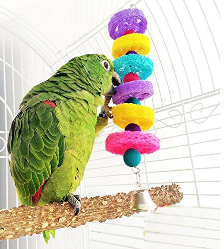 Hypeety Bird Parrot Hanging Chew Toys