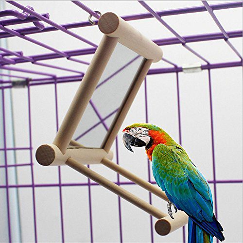 Bird Mirror Bird Swing, Parrot Cage Toys