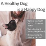 Vet Worthy Styptic Powder for Dogs - Image 6