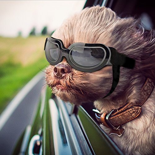 Small Dogs Puppy Dog Sunglasses Doggie Goggles