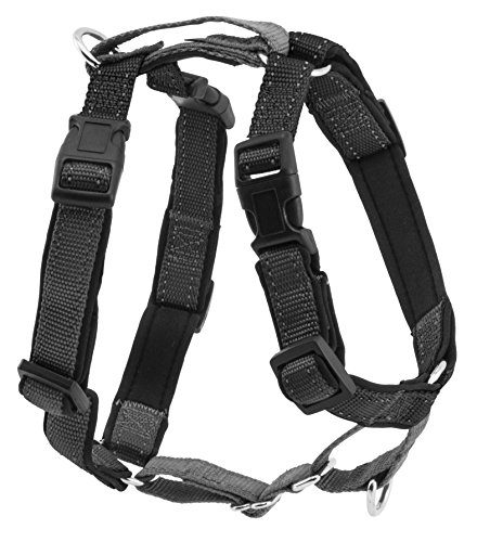 PetSafe 3 in 1 Harness and Car Restraint