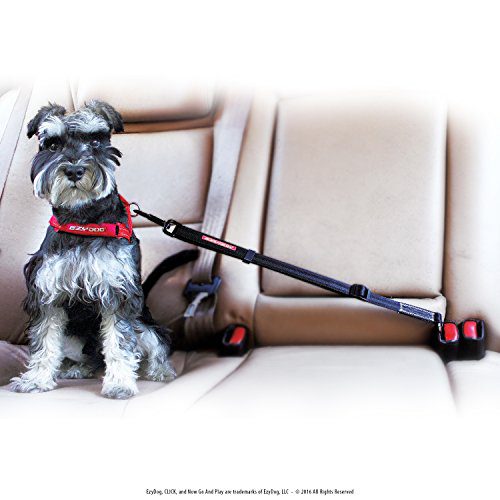 Best Dog Seat Belt Car Harness Attachment for Dogs