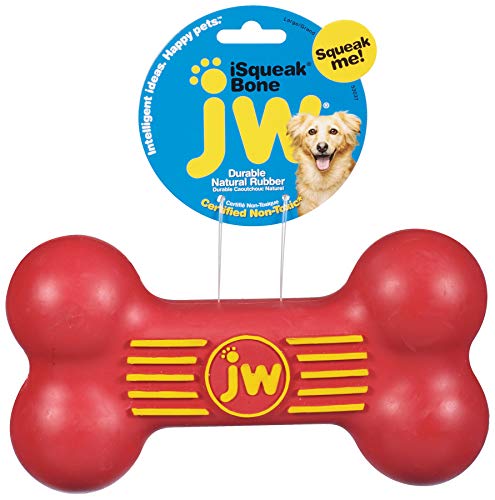 JW Pet Dog Isqueak Bone, Large