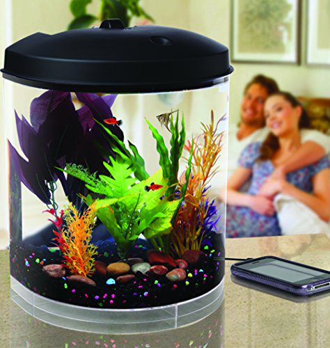 3.5-Gallon Aquarium with Sleep Sound Machine