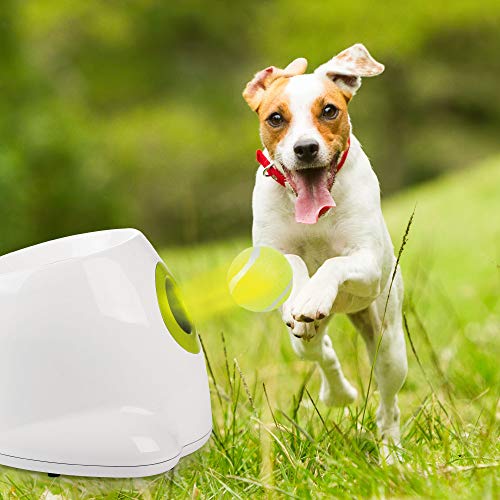 Automatic Ball Launcher for Dogs Included Launch Distance