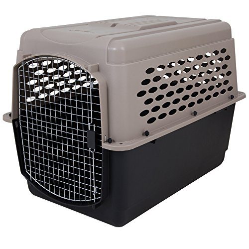 Heavy-Duty Dog Travel Crate No-Tool Assembly