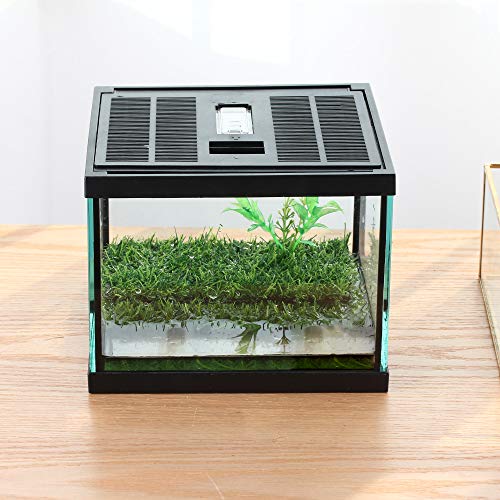 crapelles Pac Frogs Glass Terrarium Feeding kit Tank