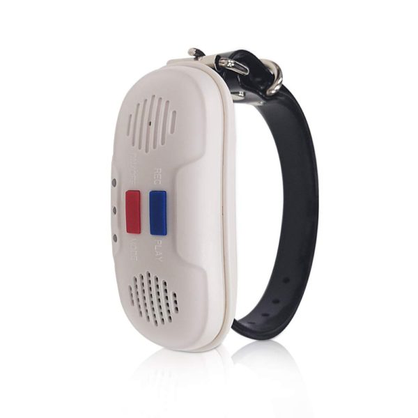 Wireless Dog Fence Electric Remote Dog Training Collars with Shock