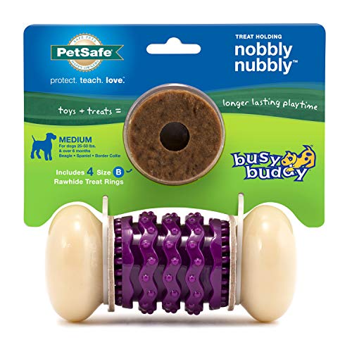 PetSafe Busy Buddy Nobbly Nubbly Treat Holding Dog Toy
