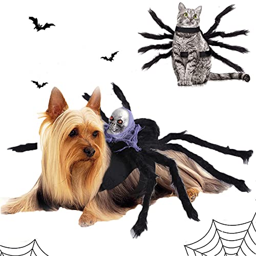 Cats, Dogs Halloween Spider Costumes