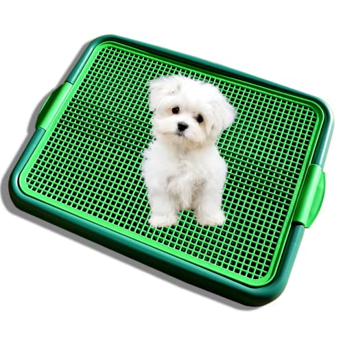 Paws Dog Toilet & Potty Pad Holder