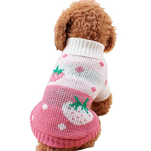 Cute Strawberry and Heart Doggie Sweater