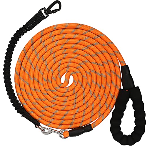 30FT Long Rope Leash for Dog Training
