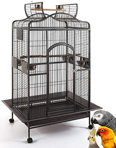 Open Play Dome Top Bird Parrot Wrought Iron Cage