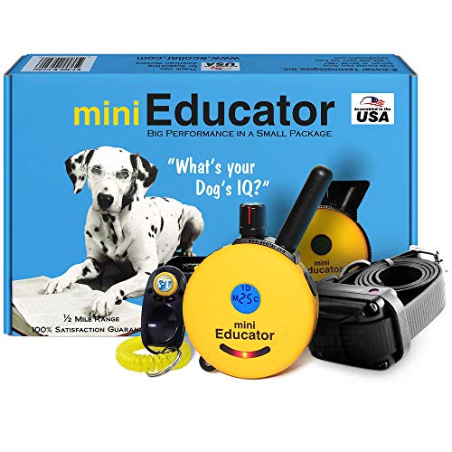Remote Waterproof Trainer Mini Educator Remote Training Collar
