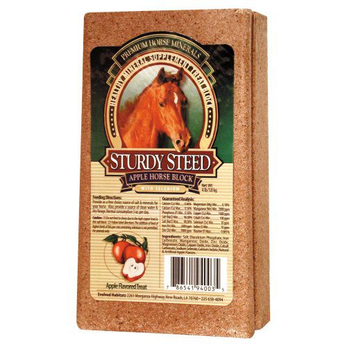 Mineral Supplement Apple Treat Block For Horses